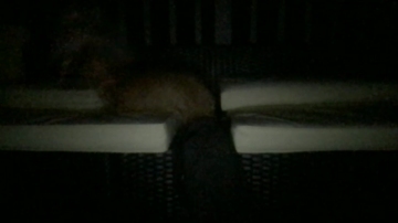 Watermellonpussy  15-06-2021